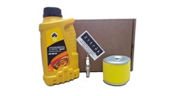 Комплект Zitrek для проведения ТО Loncin 160F/200F, Honda GX 160/200 091-0299 - фото 275394