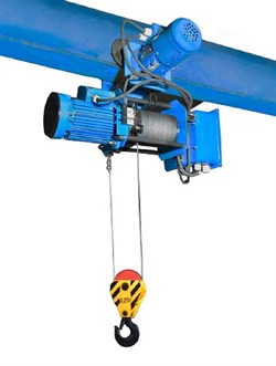 Таль электрическая канатная TOR 0,25 т 12,5 м Т025-521(12,5)2О-1ПТО