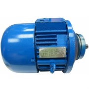 Двигатель подъема для талей электрических TOR CD1 0,25 т ZD1 12-4 (0,4 кВт)